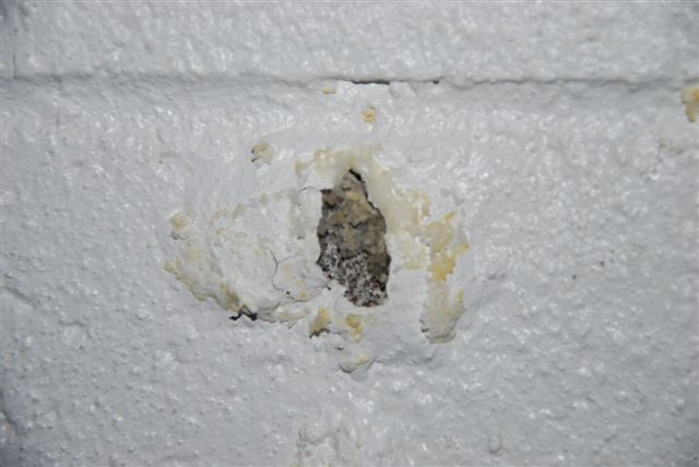 [DSC_0011-744823.JPG]