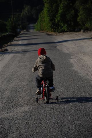 [DSC_0008-705401.JPG]