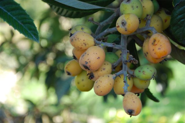 [DSC_0040-713809.JPG]