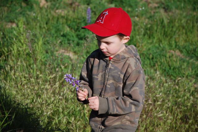 [DSC_0053-716601.JPG]