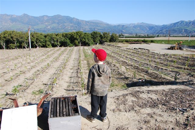 [DSC_0058-718261.JPG]