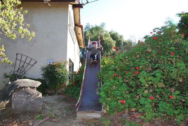 [DSC_0068-720366.JPG]