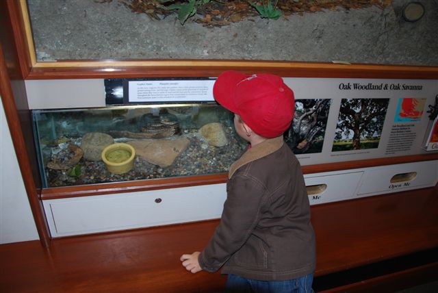 [DSC_0032-708762.JPG]