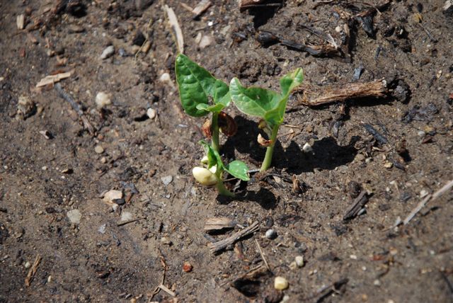 [DSC_0005-742504.JPG]