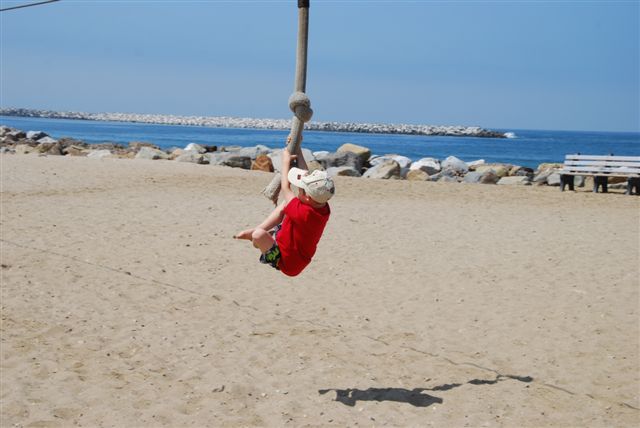 [DSC_0010-798145.JPG]