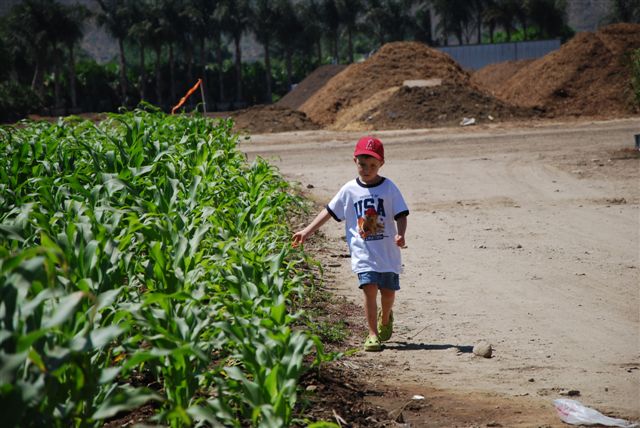 [DSC_0024-701383.JPG]