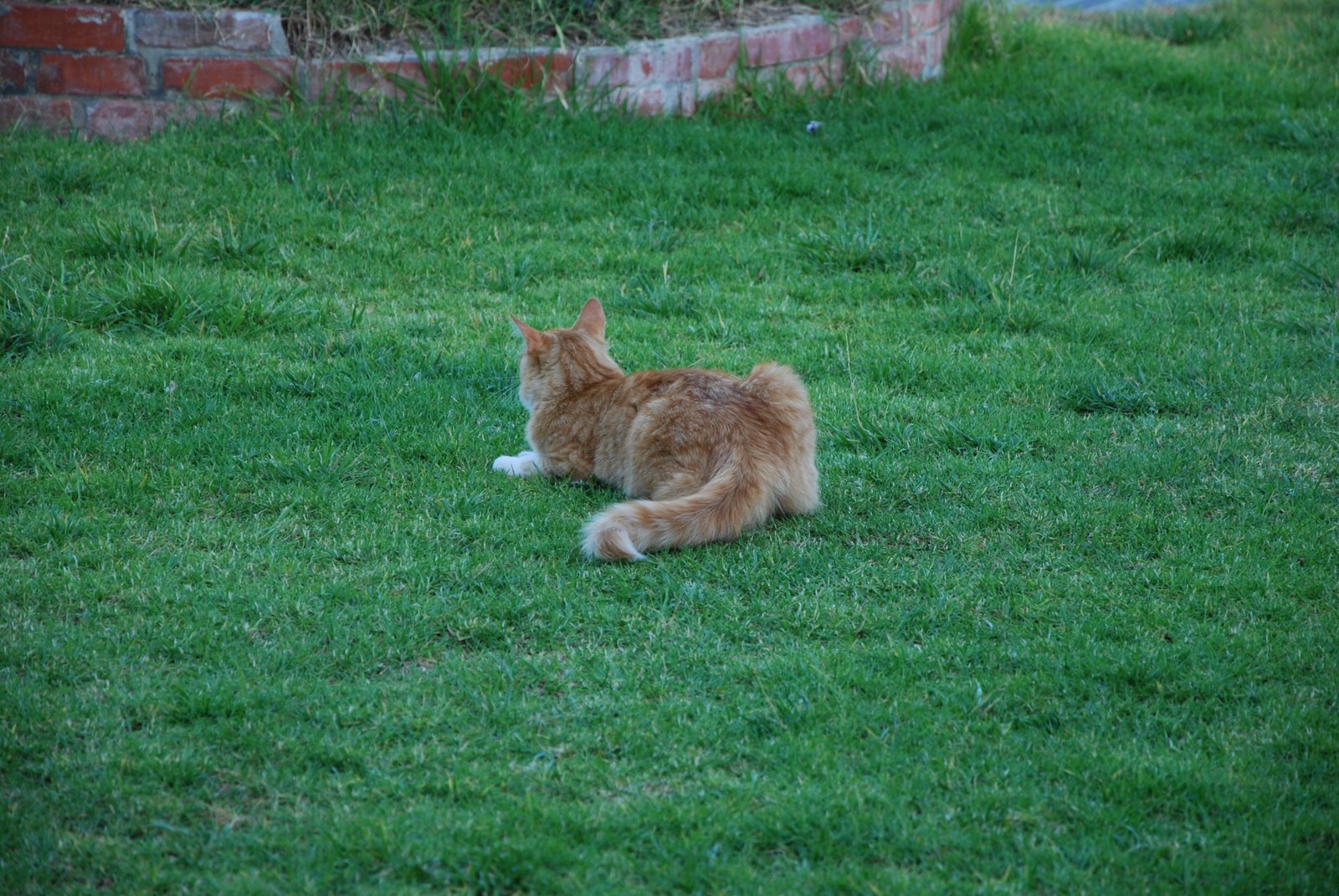 [DSC_0034.JPG]