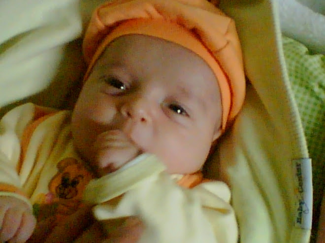 Arif Mirza ARAS