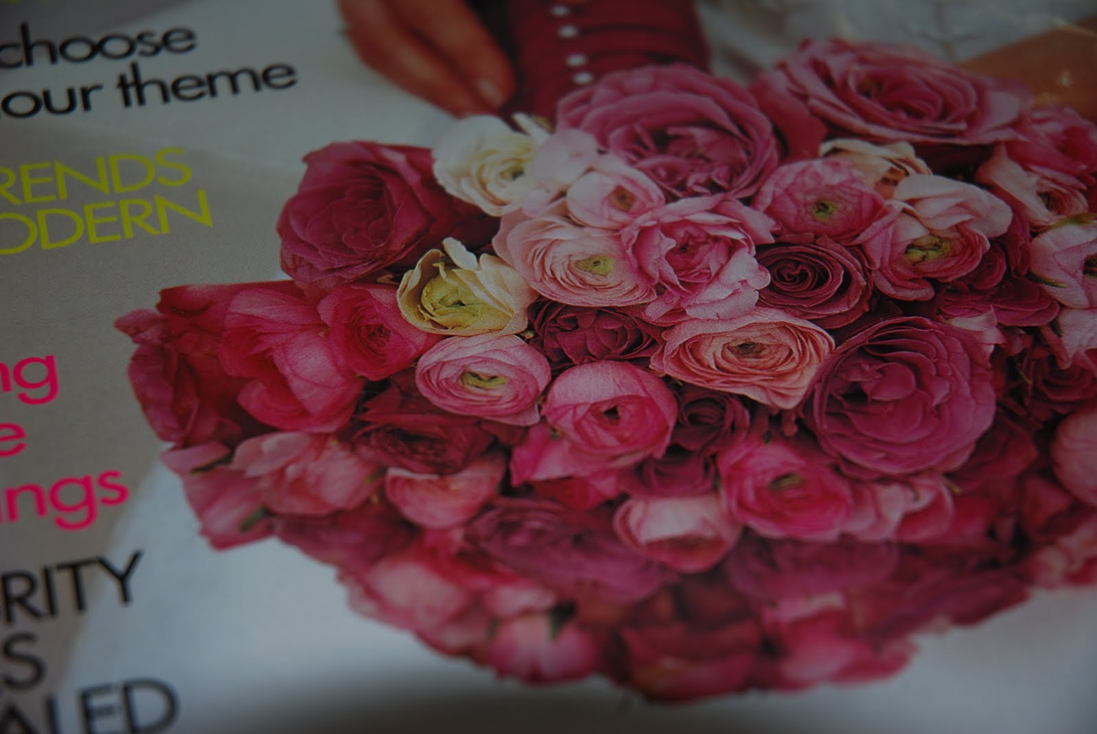 Les Roses De La Prade 2018