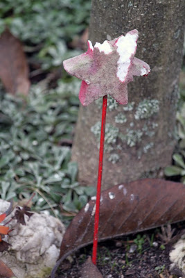 Benutzerübermitteltes Bild