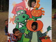 The cutest pumpkins