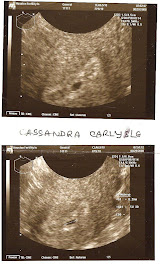 Verifying Pregnancy!