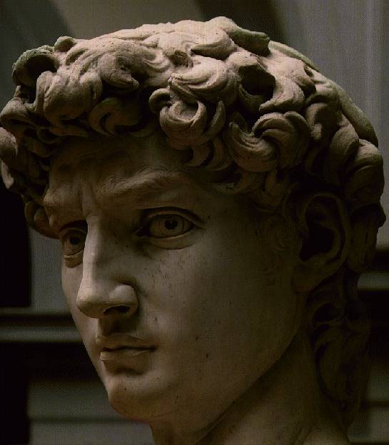 [David.jpg]