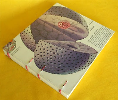 I think this notebook would be I Love You Notebook. I think this notebook would be