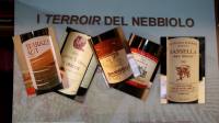 [nebbiolo.jpg]