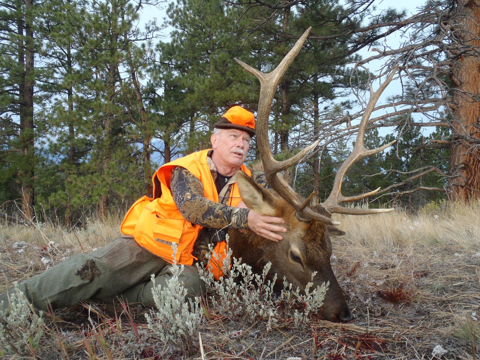Montana Outfitter Journal Montana Elk Hunt Opening Week