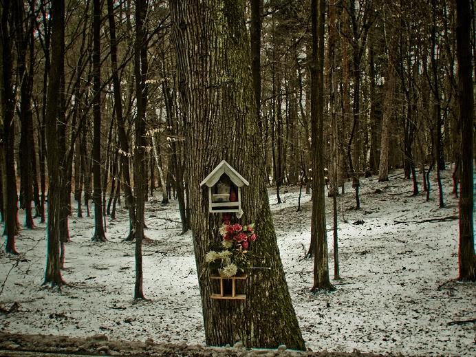 [autokrzyzyk+(1+of+1).jpg]