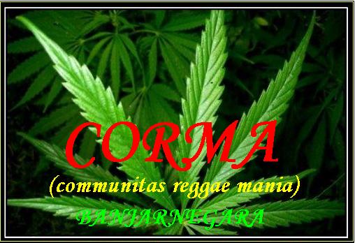 corma new