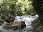 AT NAWALAPITIYA