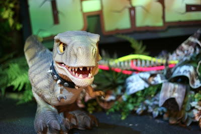 D-Rex pet