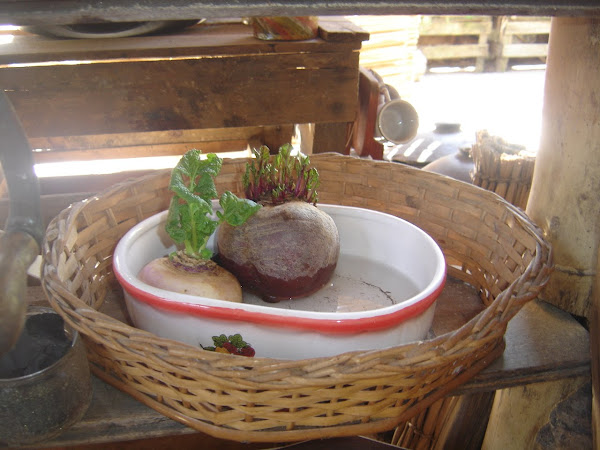 Revitalização dos alimentos