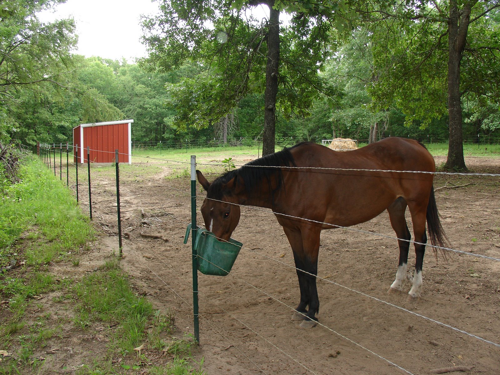 [DSC03613.JPG]