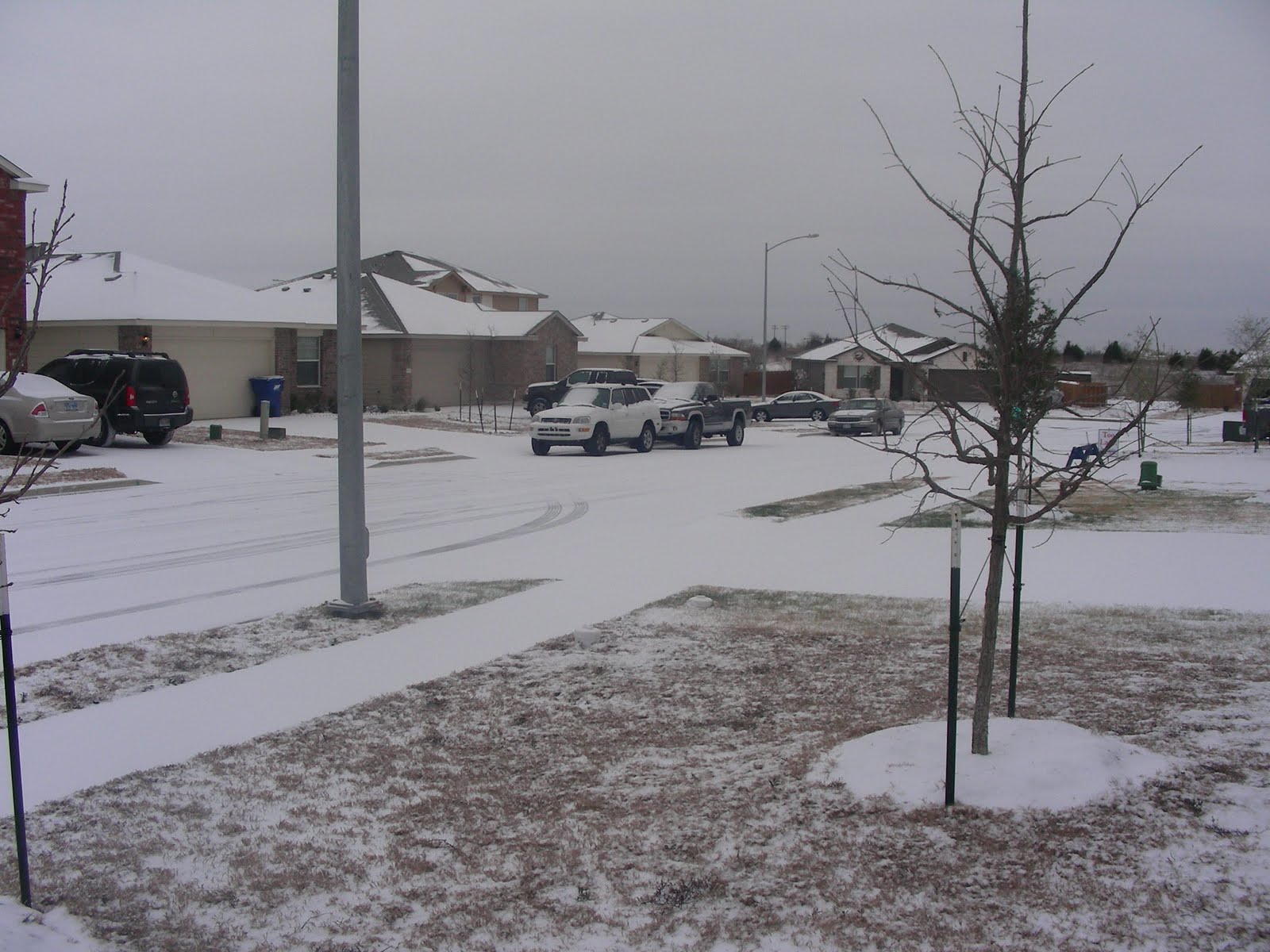 From Taiwan to Texas Life in MidAmerica Austin Snow Day