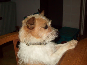 Van Hier Tot Daar April 2009