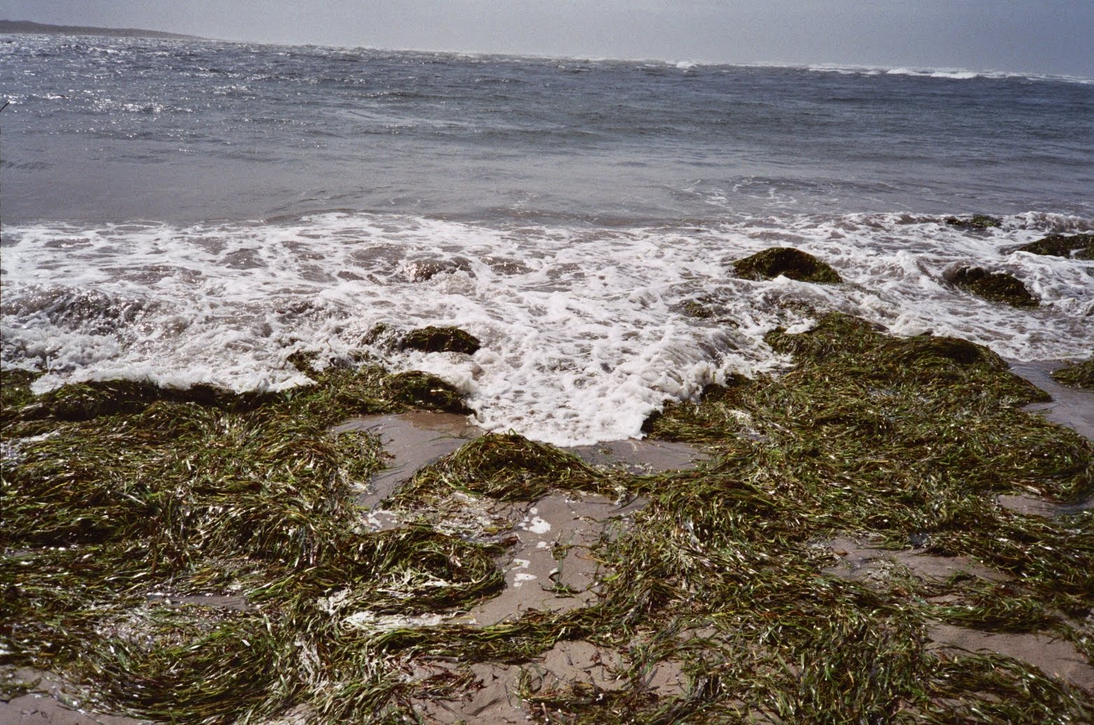[019_19.JPG]