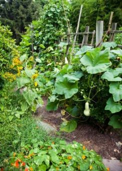 external image forest+gardening.jpg