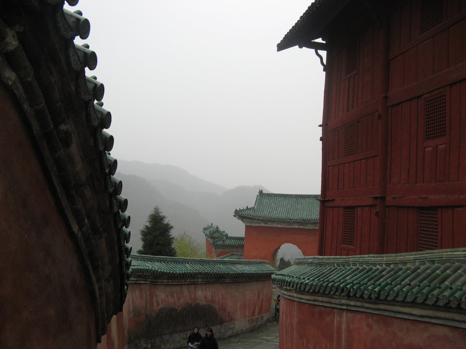 [IMG_3316.JPG]