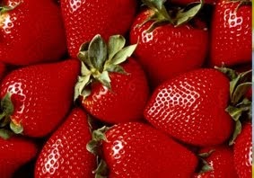 budidaya stroberi Stroberi atau tepatnya stroberi kebun (juga dikenal dengan nama arbei, dari bahasa belanda aardbei) adalah sebuah varietas stroberi yang paling banyak dikenal di dunia. budidaya stroberi Stroberi atau tepatnya stroberi kebun (juga dikenal dengan nama arbei, dari bahasa belanda aardbei) adalah sebuah varietas stroberi yang paling banyak dikenal di dunia.