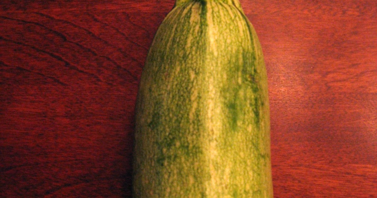 The Gentle Gastronome Mexican Grey Squash Calabacitas