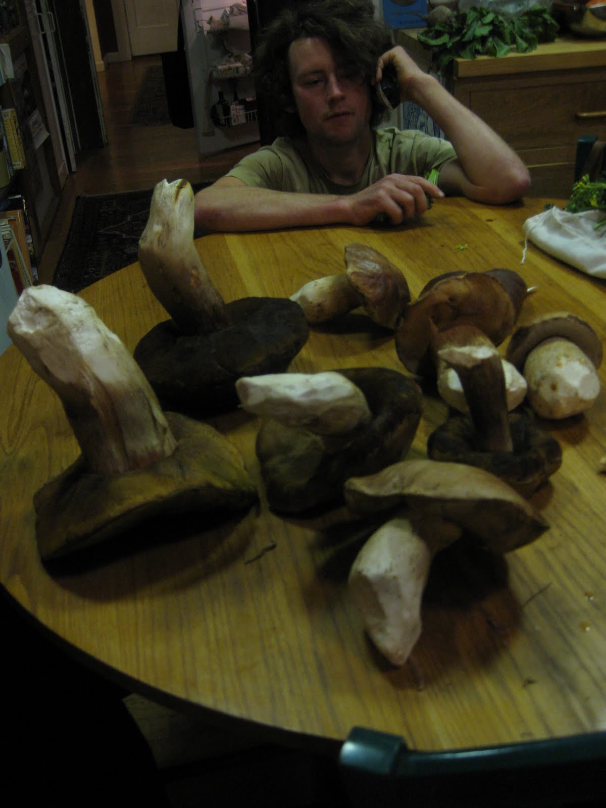 Porcini