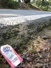 Gu near Mount Tam