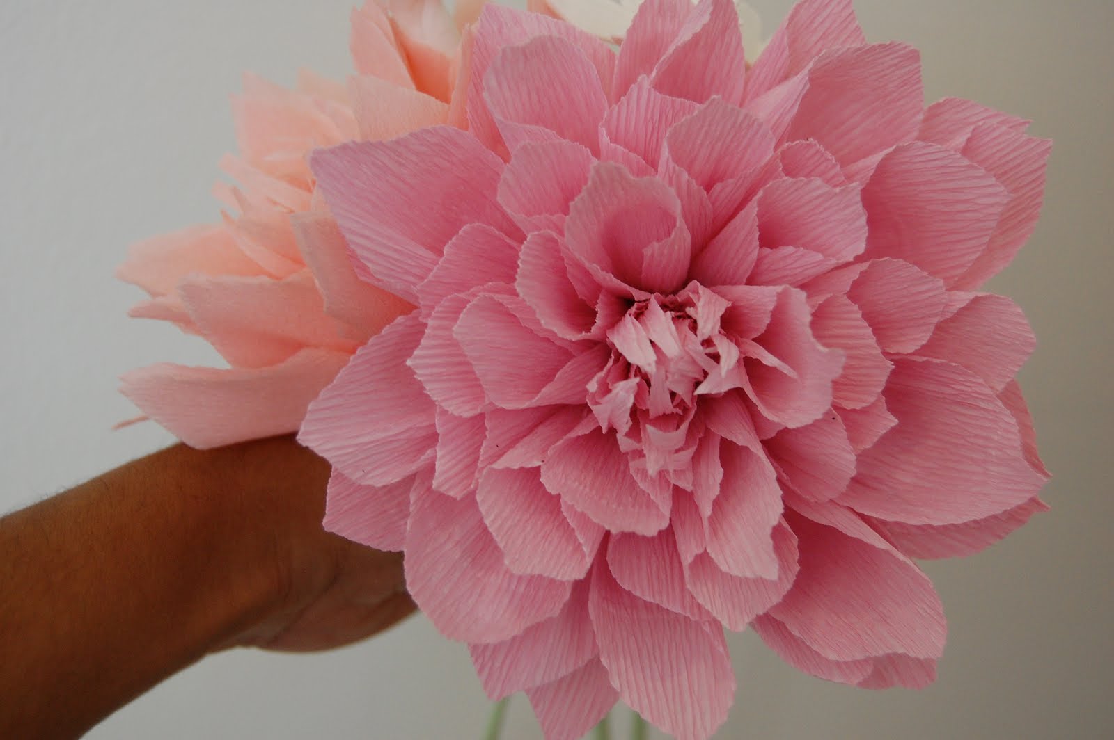 Pink Dahlia sampler for Katie Handmade PaPer FloweRs by Maria Noble