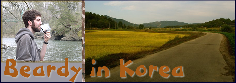 Beardy in Korea