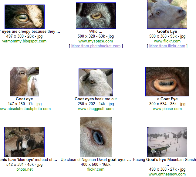 [goat+eye+-+Google+Image+Search_1239192509745.png]