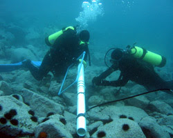 ciencias del mar salidas ciencias del mar salidas