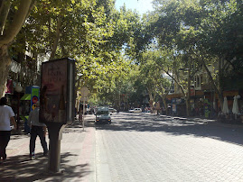 Av. San Martin de la ciudad de Mendoza