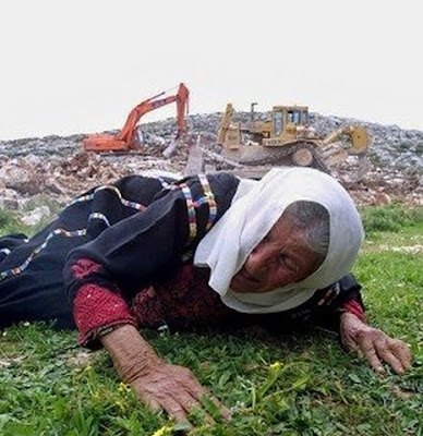 ���� ���� ������ �� ���� ������