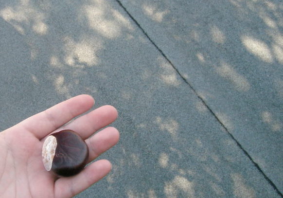 [P1010159-1.JPG]