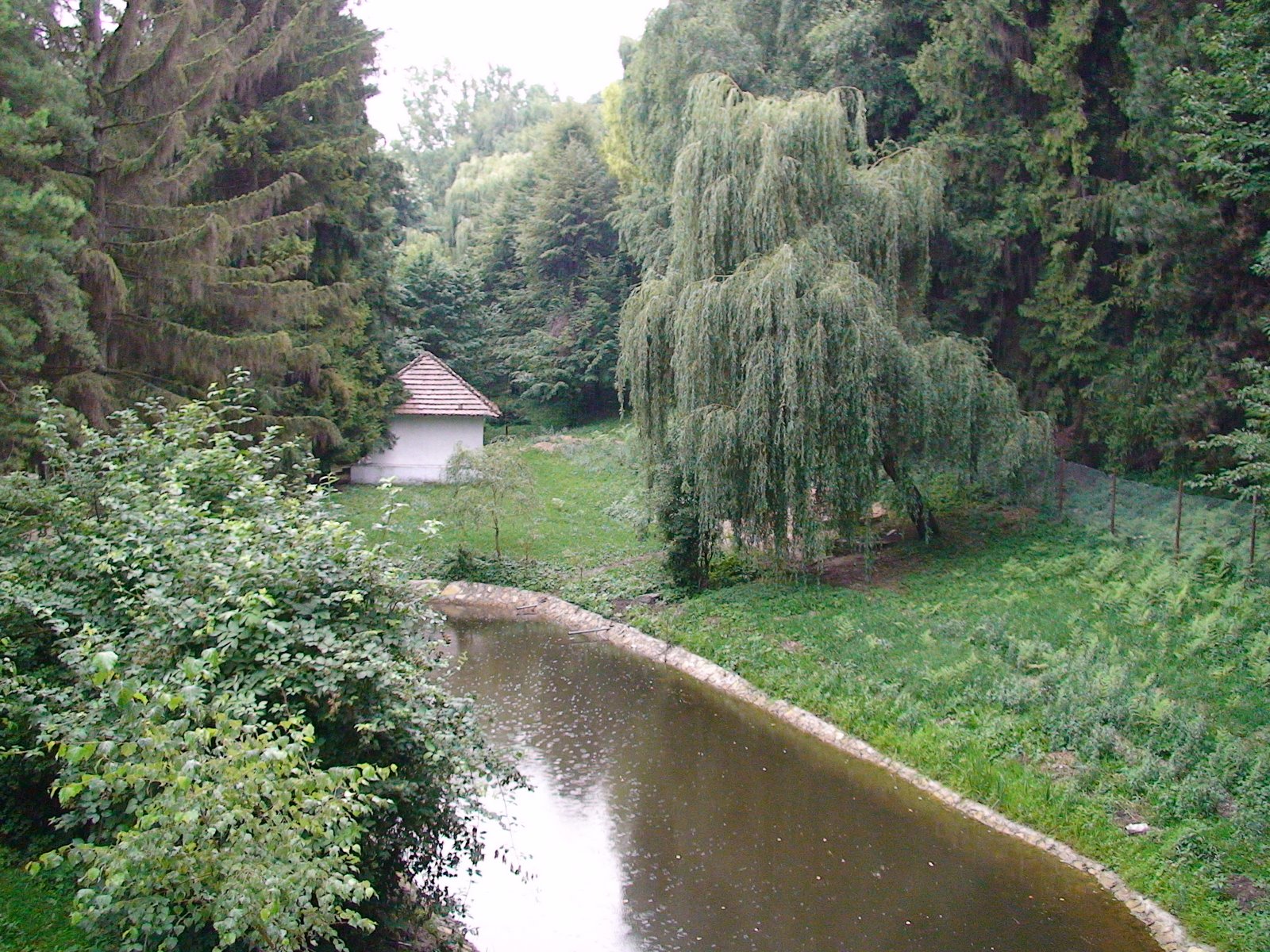[DSC02019.JPG]