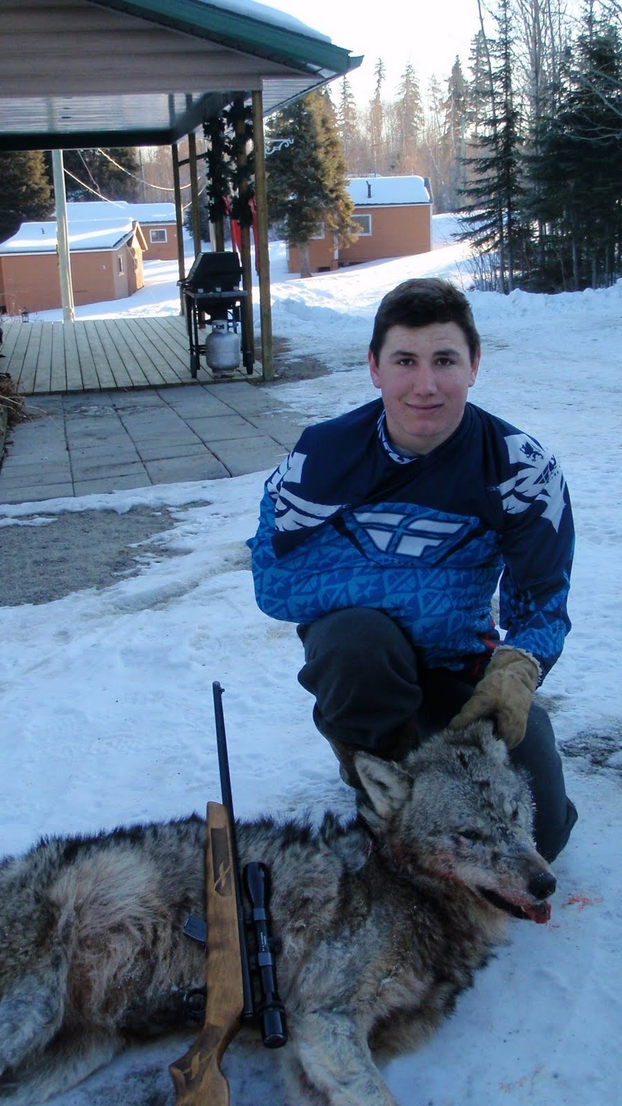 [Pakwash+wolf+2010+003.jpg]