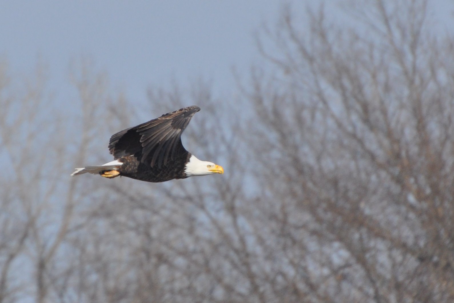 [DSC_0095_edited-1.jpg]