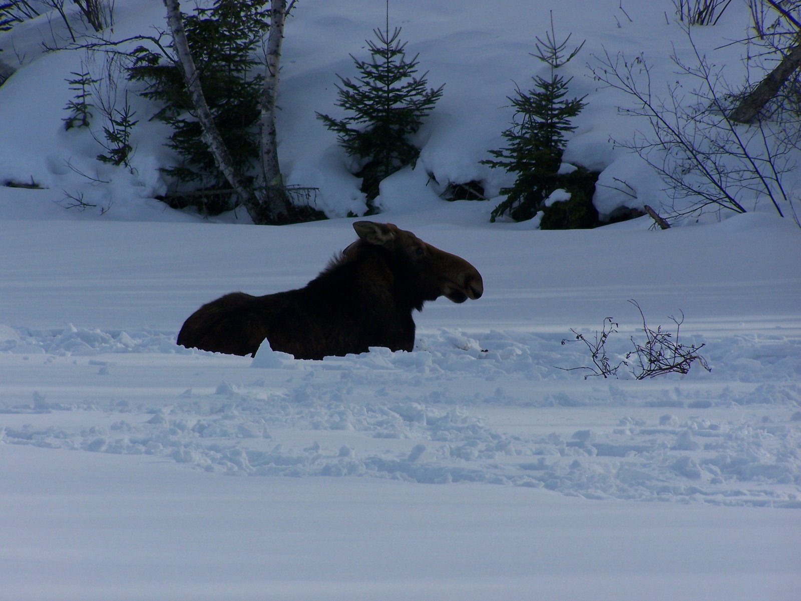 [2009+Ice+fishing+pakwash+lake+023.jpg]
