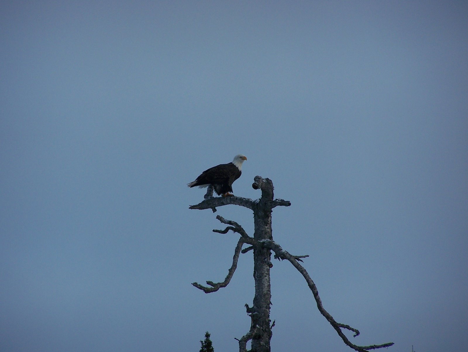 [2009+Ice+fishing+pakwash+lake+022.jpg]