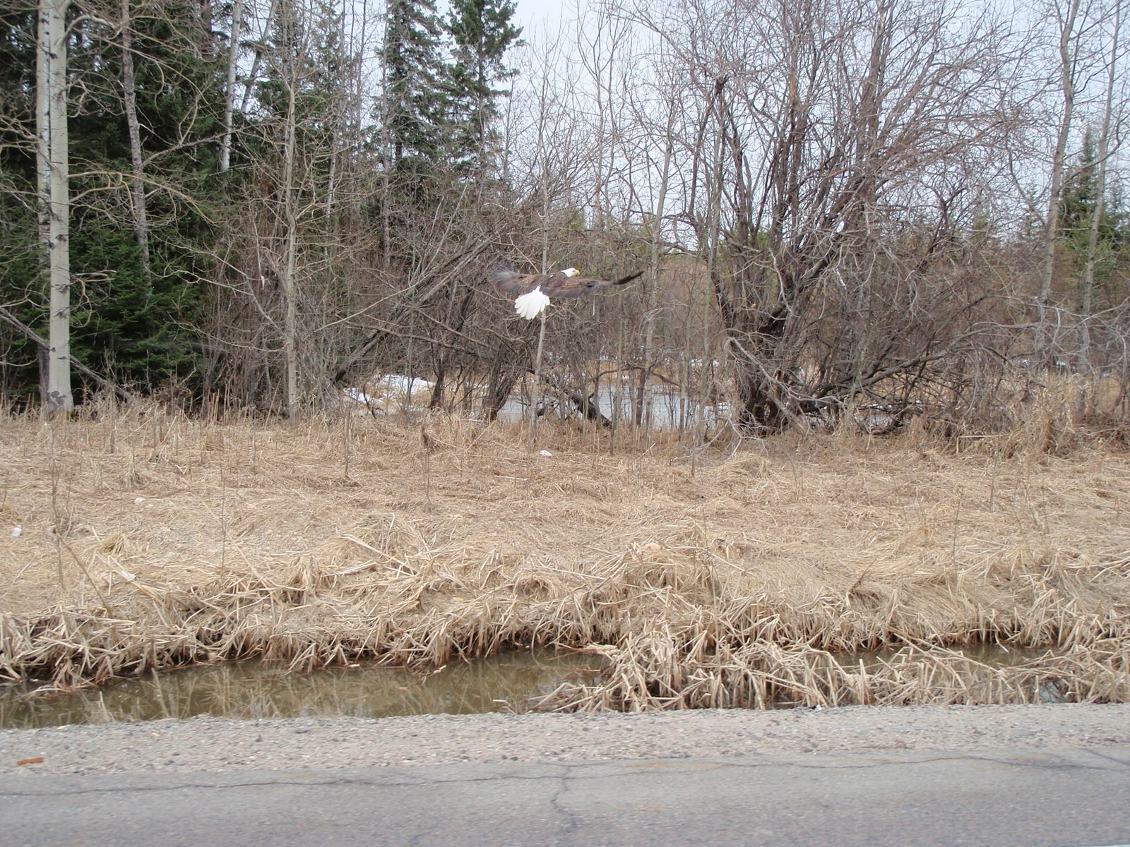 [Kenora+Trip+007.jpg]