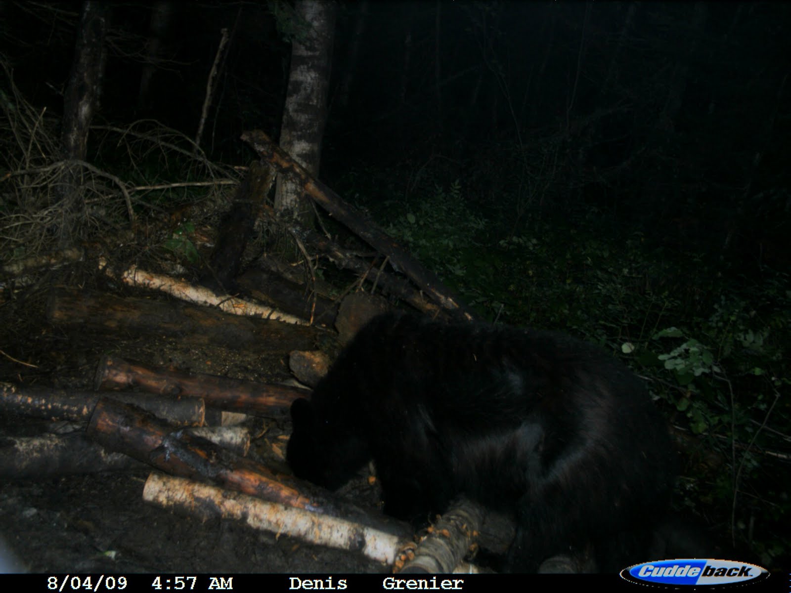 [2009+BEAR+BAITS+PAKWASH+136.jpg]