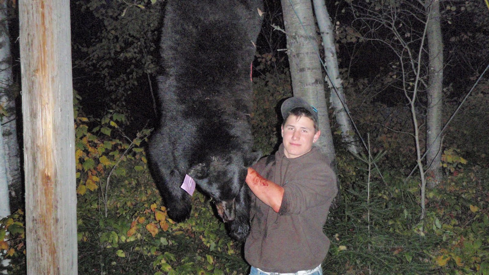 [Ear+Falls+Black+Bear+Hunting.jpg]